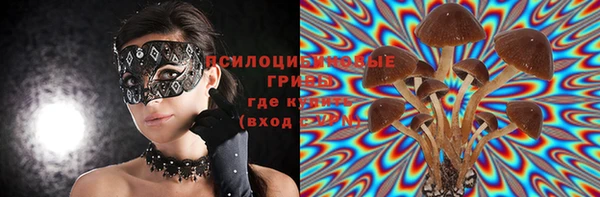 прущие крисы Приозерск