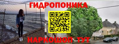 бошки Бийск