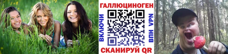 omg зеркало Вольск Галлюциногенные грибы Psilocybe сколько стоит