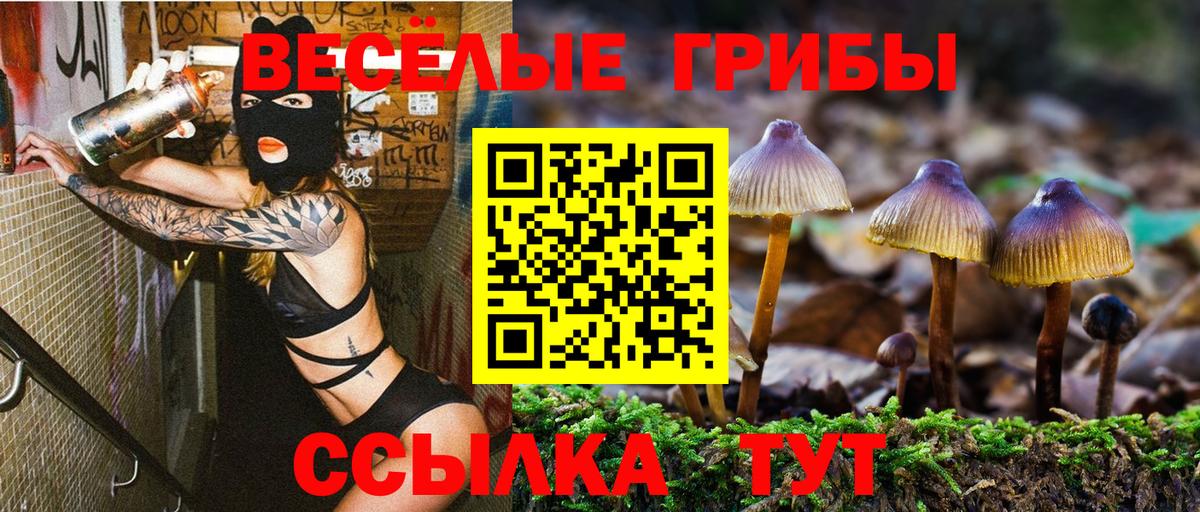 Псилоцибиновые грибы мицелий Вольск