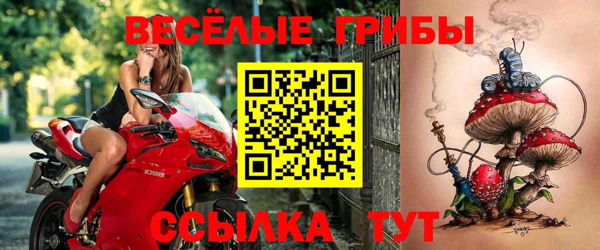 Галлюциногенные грибы мухоморы  Псилоцибиновые грибы MAGIC MUSHROOMS  Вход с VPN  закладки  Вольск 